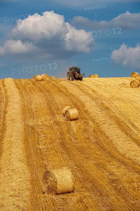 Straw harvest, after harvesting the straw, previously mowed, dried and laid in rows, so-called plumes, is pulled by a round baler, by a tractor, picked up, pressed into compressed bales and placed in the field, used as animal feed, in Mülheim-Menden, Acker an der Mendener Straße, midsummer, harvest at over 30C, Mülheim an der Ruhr, North Rhine-Westphalia, Germany