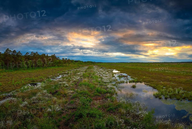 Bissendorfer Moor, Bissendorf, Wedemark, Hanover, Lower Saxony, Germany