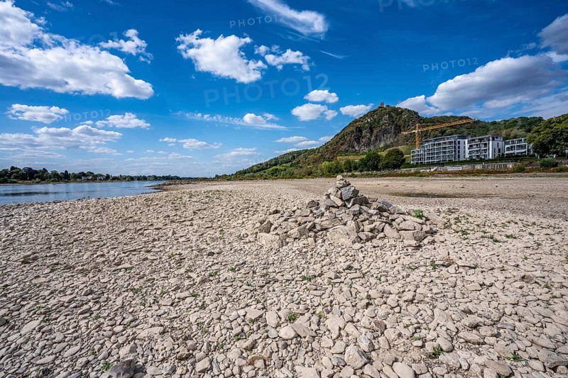 Low tide in the Rhine, dry riverbed, sandbanks, on the right bank of the Rhine near Bad Honnef, hardly any shipping traffic, freighters may only travel with significantly reduced load and reduced speed, residential complex in Rhöndorf, Drachenfels, North Rhine-Westphalia, Germany