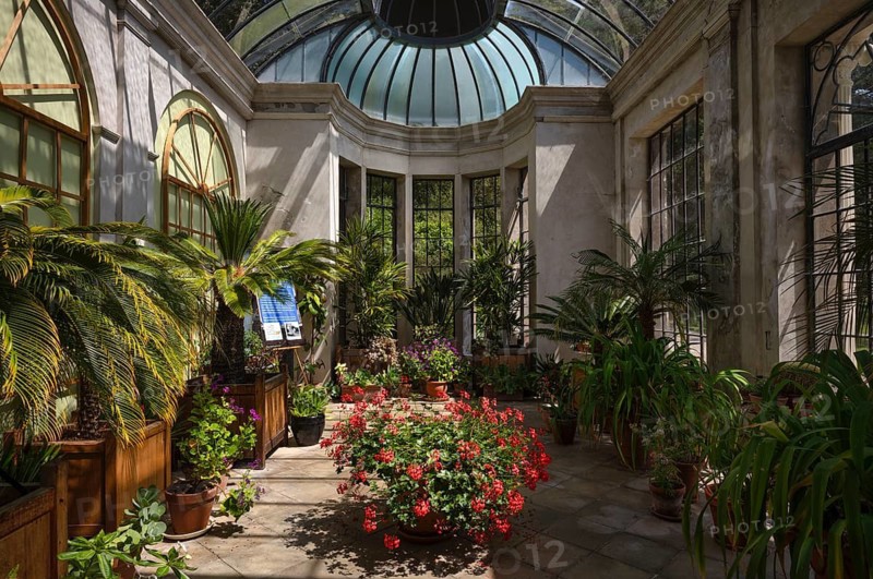 Interior view of greenhouse, Trelissick House and Gardens, Feock, Cornwall, England, Great Britain, Great Britain