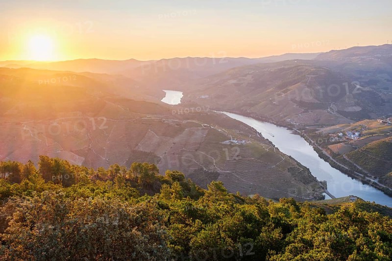 Aerial drone view of sunrise over the Douro River winding between vineyard-covered hills in the Douro Valley, Portugal