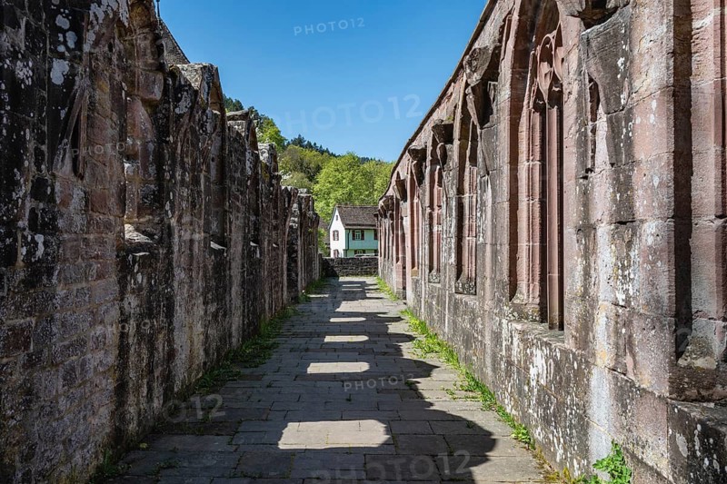 The late Gothic cloister of the Hirsau monastery ruins, a former important Benedictine abbey in the Nagold Valley in the northern Black Forest, Hirsau, Calw, Black Forest, Germany