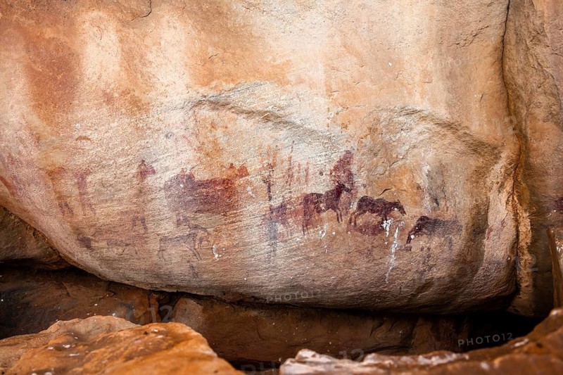 Prehistoric animal depictions, ancient rock carving of the San, indigenous people of South Africa, Seville Rock Art Trail, Cedar Mountains, Clanwilliam, Western Cape, Republic of South Africa
