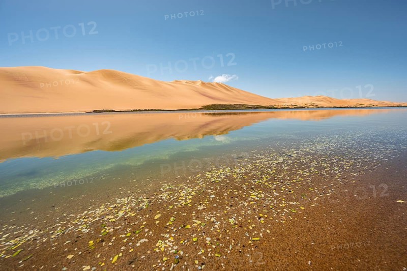 Sand dunes are reflected in Sandwich Harbour Lagoon, Impressive Desert Landscape, Namib Naukluft Park, Namib Desert, Namibia