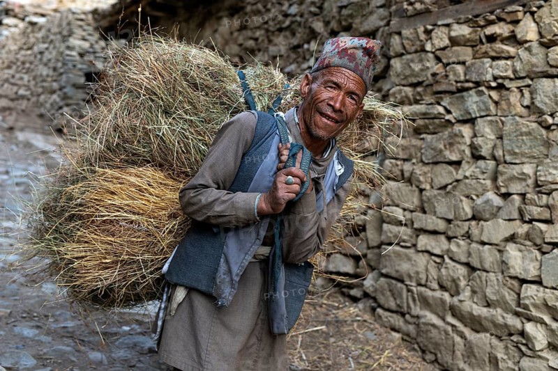 Portrait of elderly Nepali carrying a bundle of hay or straw, Hindu ethnic group, Himalayas, Humla region, western Nepal, Nepal