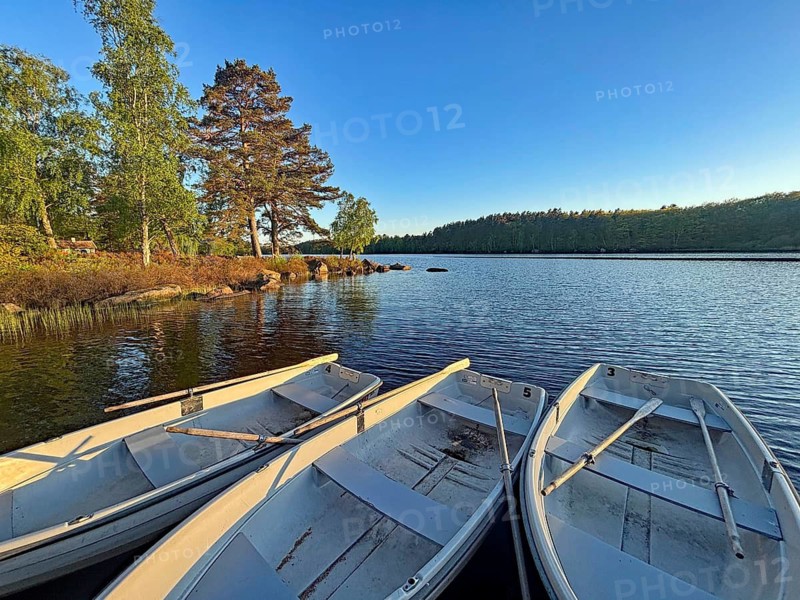 Three boats on a lake at sunset surrounded by trees, camping, vacation, Karlshamm, Blekninge, Sweden