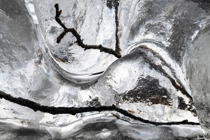 Branches enclosed in ice, Dundret Nature Reserve, Gällivare, Norrbotten, Lapland, Sweden, October 2024