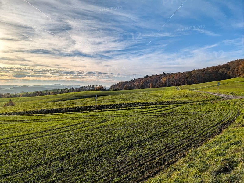 Hilly, agricultural landscape, Köterberg on the horizon, sunny autumn weather, Rühle, Bodenwerder, Rühler Switzerland, Vogler, Weser Hills, Lower Saxony, Germany