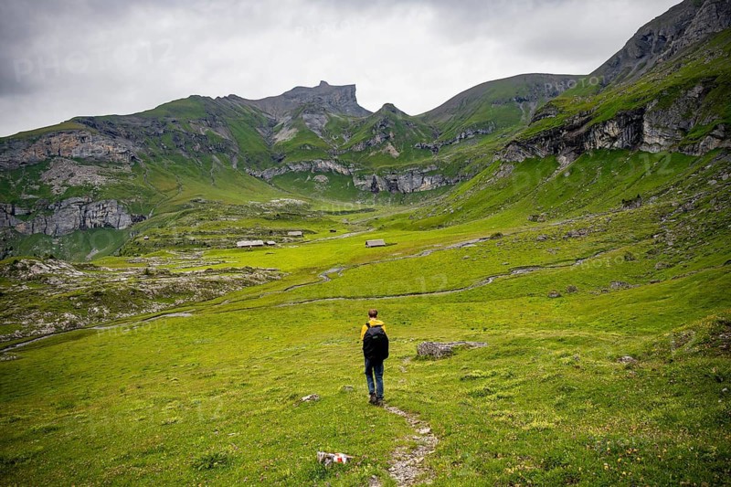 Hikers on hiking trail, alpine pastures and alpine meadows on Kienboden, green mountainous countryside, Bernese Alps, Bernese Oberland, Switzerland