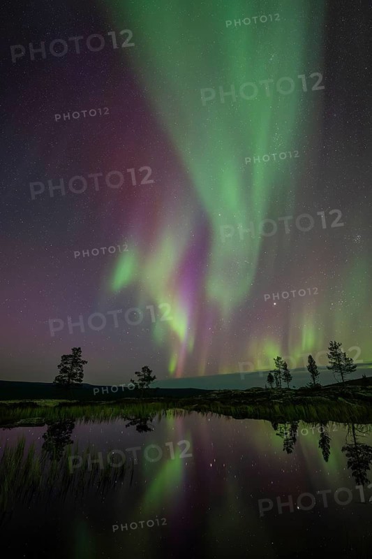 Northern Lights (Aurora borealis) reflected in a mountain lake, Norrbotten, Lapland, Sweden, September 2024