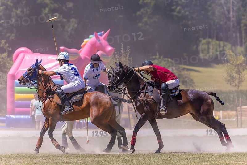 Heino Ferch, polo player, polo horse, polo pony (Equus), rider, polo tournament, 1295 Polo Masters, Sylvenstal, Pfullendorf, Linzgau, Sigmaringen district, Baden-Württemberg, Germany