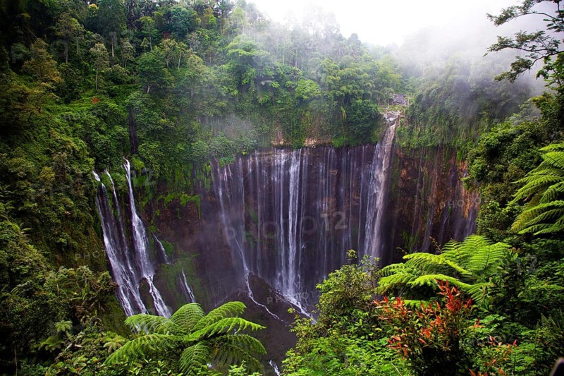 A tall waterfall flows over a cliff in the middle of a thick, green forest with fog, views of cascading waterfalls surrounded by lush green forests, an impressive spectacle of natural beauty, the Tumpak Sewu Waterfall, East Java, Indonesia