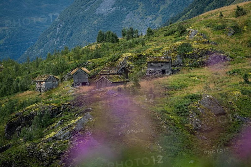 Old mountain huts on a slope covered with low trees and heath, near Geiranger, UNESCO World Heritage Site Geiranger Fjord, Stranda Municipality, Møre og Romsdal, Norway