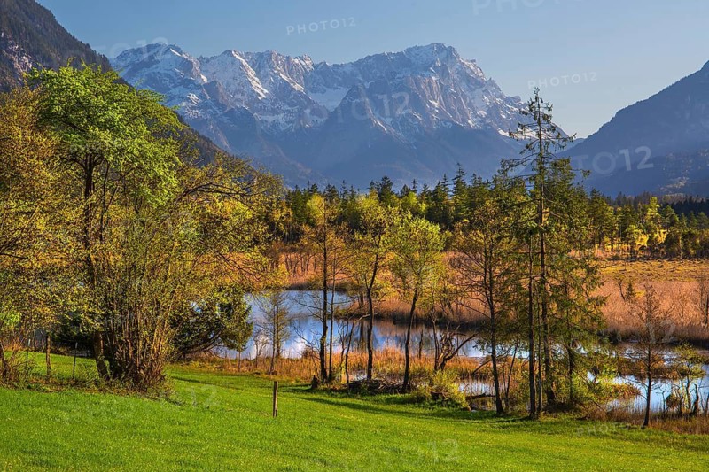 Moor area Seven springs with the Zugspitze group 2962m in spring, Eschenlohe, Loisachtal, The Blue Land, Upper Bavaria, Bavaria, Germany