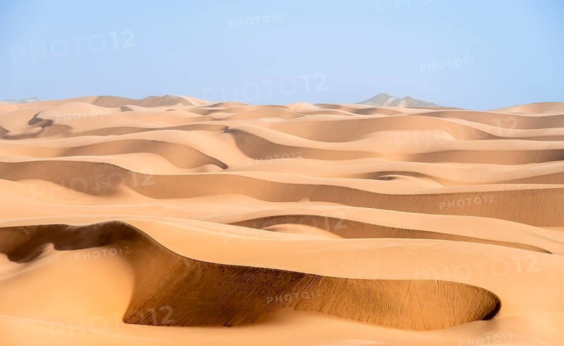 Sand dunes with wave patterns, dune sea, sandy desert, impressive desert landscape, Namib Naukluft Park, Namib desert, Namibia