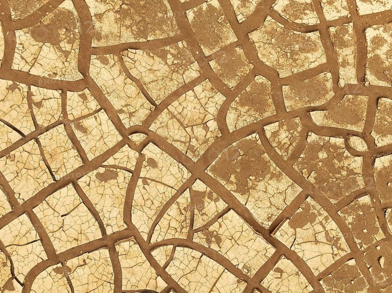 Cracked earth. Aerial view. Drone shot. Namib Desert, Skeleton Coast, Namibia