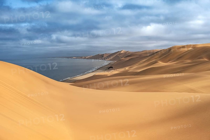 Sand dunes and sea in morning light, Atlantic coast and sandy desert with sea of dunes, Sandwich Harbour, Namib Naukluft Park, Namib Desert, Namibia