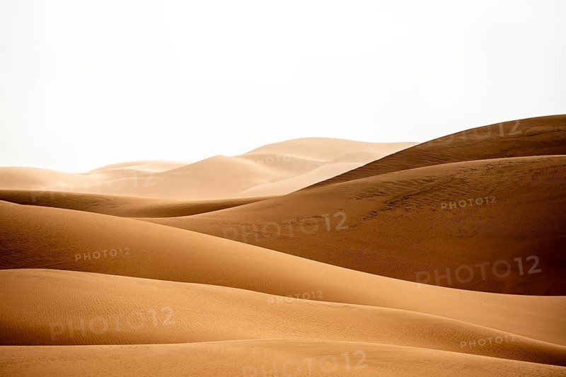 Sand dunes, sea of dunes, sandy desert, impressive desert landscape, Namib Naukluft Park, Namib desert, Namibia