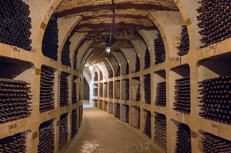 Long, illuminated wine cellar with shelves full of bottles in a mysterious atmosphere, wine cellar, Milestii Mici winery, Mile?tii Mici, Republic of Moldova, Moldova