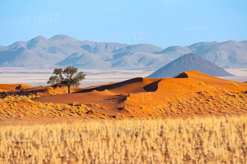 Dunes, landscape in the NamibRand Nature Reserve, in the back Naukluft Mountains, Namib Desert, Namibia