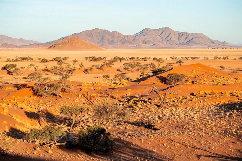 Evening atmosphere, sand dunes, landscape in the NamibRand Nature Reserve, Naukluft Mountains in the background, Namib Desert, Namibia