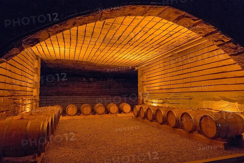 Cosy wine cellar with barrels in a warmly lit, rustic setting made of stone and wood, wine cellar, Milestii Mici Winery, Mile?tii Mici, Republic of Moldova, Moldova