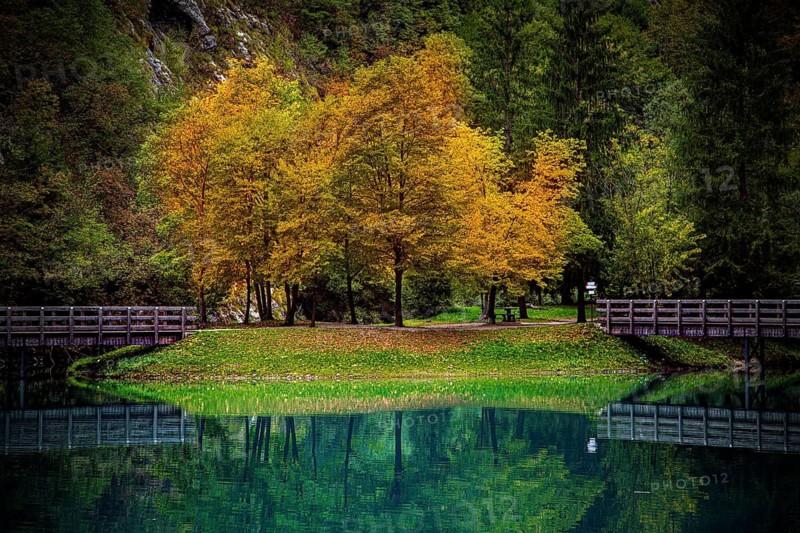 A small island with autumnal trees in a lake, the water reflects the colours, autumnal larch trees (Larix) with a mountain stream and a bridge, and mountains in the background, Schnalstal, Natruns, South Tyrol, Italy