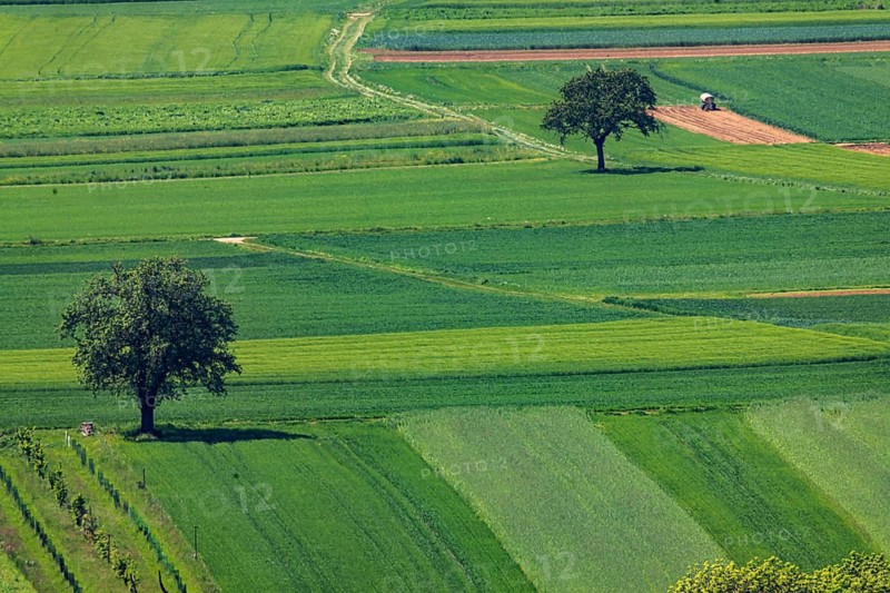 Agricultural land in spring. Swabian Jura near Neuffen, Baden-Württemberg, Germany