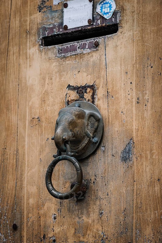 Old door knocker with elephant head on a front door in France