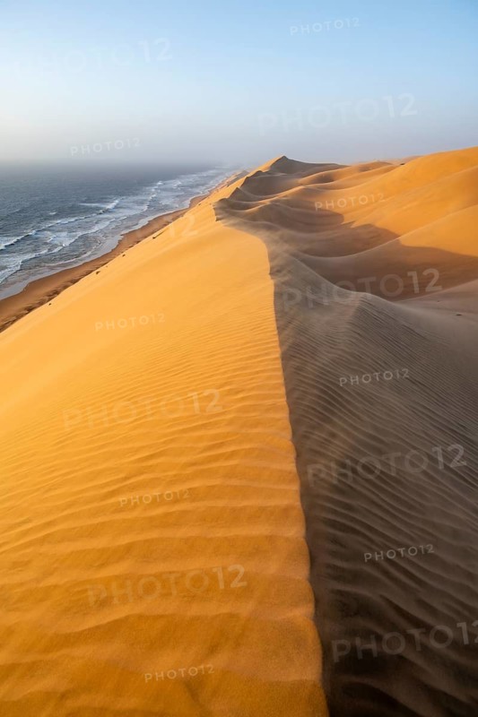 Sand dunes and sea in evening light, wind blowing sand across the dunes, view of the Atlantic coast from high sand dunes, impressive desert landscape at sunset, Sandwich Harbour, Namib Naukluft Park, Namibia