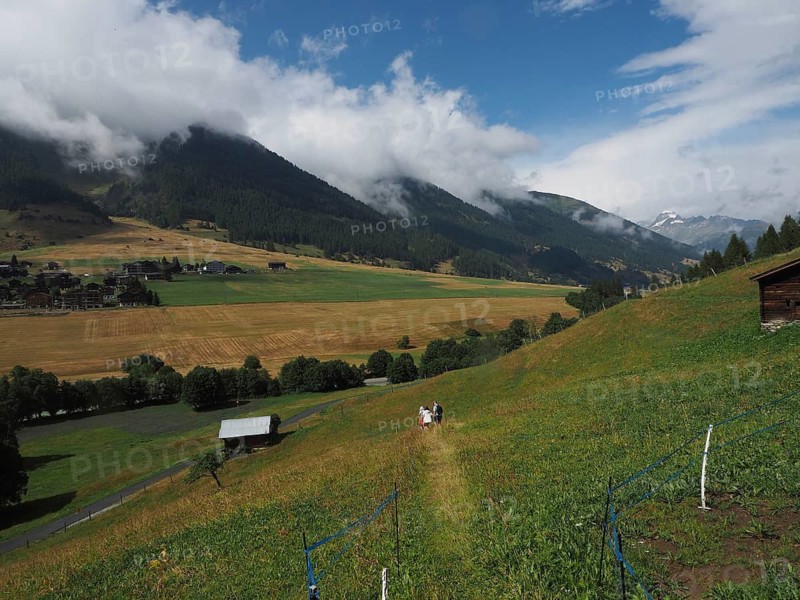 View of hilly landscape with mountains, meadows and a path, people hiking along, Münster, Goms, Canton of Valais, Switzerland