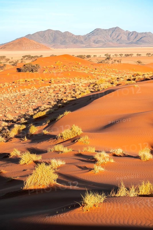 Evening atmosphere, sand dunes, landscape in the NamibRand Nature Reserve, Naukluft Mountains in the background, Namib Desert, Namibia