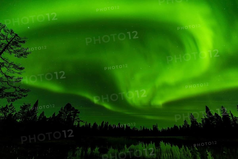Northern Lights (Aurora borealis), Muddus National Park, Laponia World Heritage Site, Norrbotten, Lapland, Sweden, September 2020