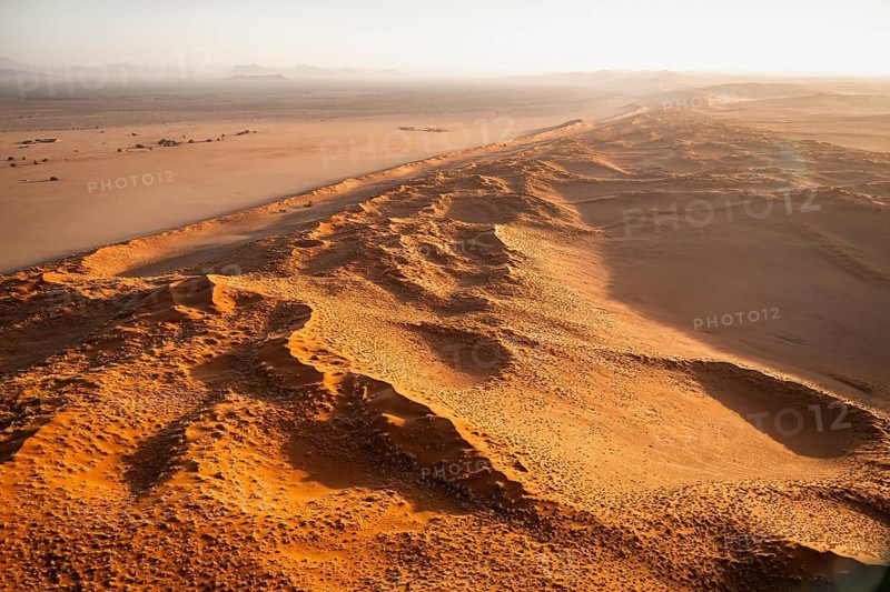Aerial view, detailed view of a sand dune in the Namib Desert, Namib Naukluft Park, Namibia