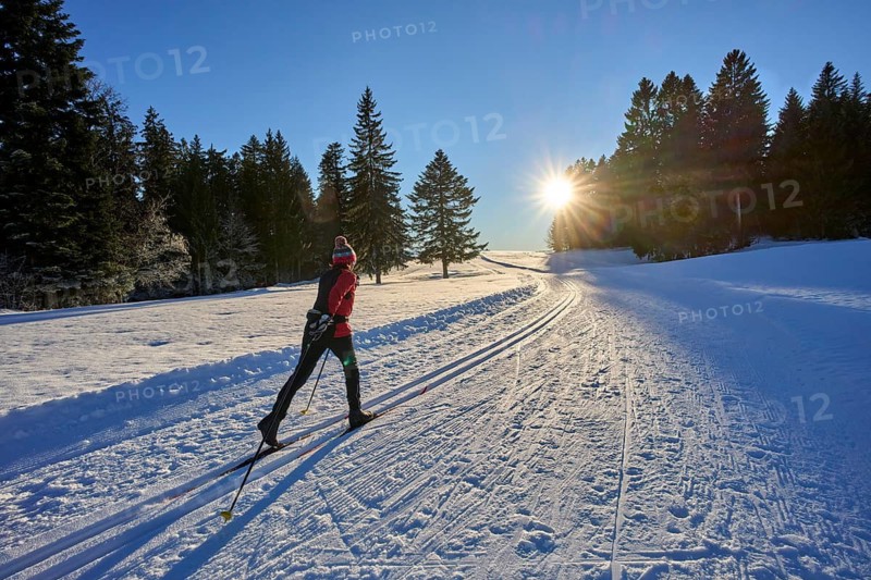 Sportive woman crosscountry skiing at sunset in the Bregenz Forest mountains, Sulzberg, Vorarlberg, Austria