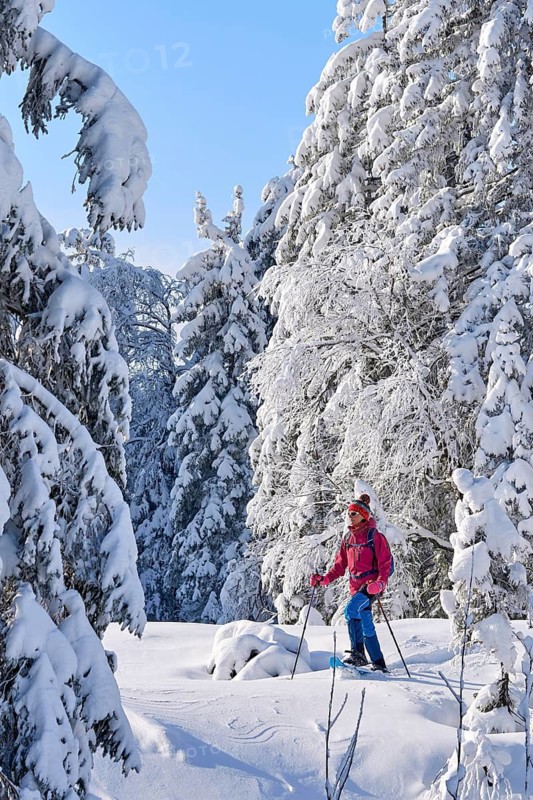 Nice and active senior woman hiking with snow shoes in deep powder snow in the Hochhaedrich area of Bregenz Forest, Hittisau, Vorarlberg, Austria