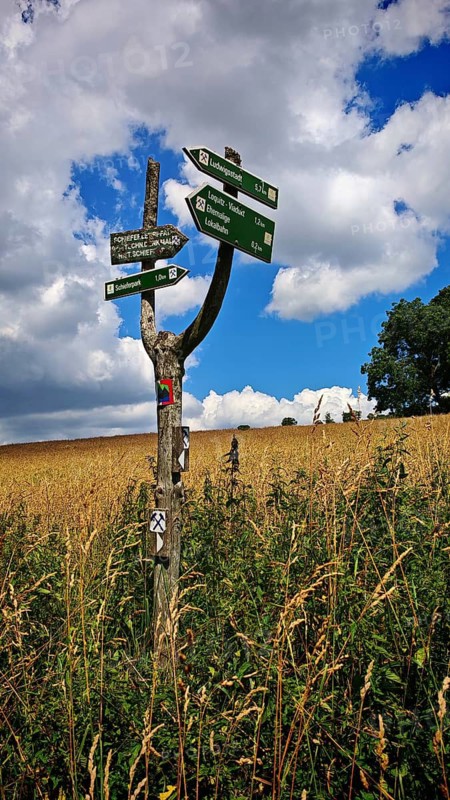 A wooden signpost stands in a grassy field under a partly cloudy sky, hiking on the Rennsteig near Lehesten, Thuringian Schiefergebirge Obere Saale nature park Park