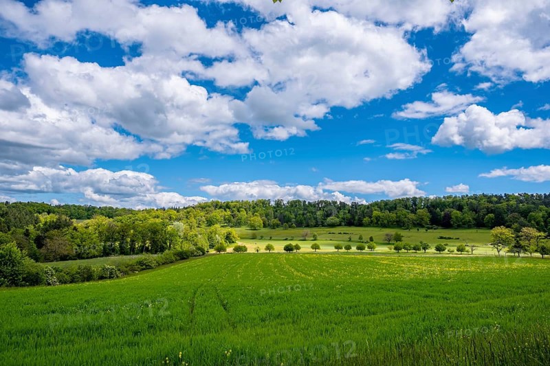 An open field under a wide sky with white clouds and surrounded by forest, Bubendorf, Canton of Basel-Landschaft, Switzerland