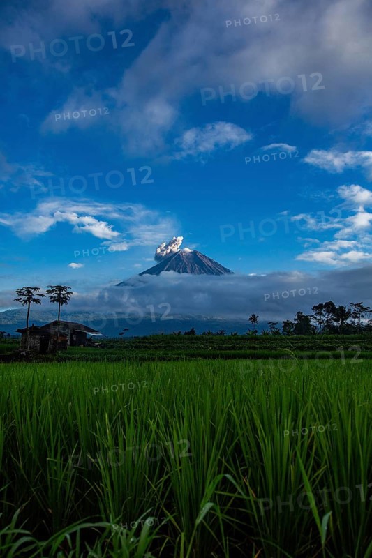 A volcano behind green rice paddies and clouds, under a clear blue sky, Smoking volcano, Sumatra, Jakarta, Indonesia