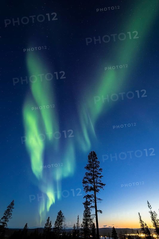 Northern Lights (Aurora borealis), Gällivare, Norrbotten, Lapland, Sweden, April 2025