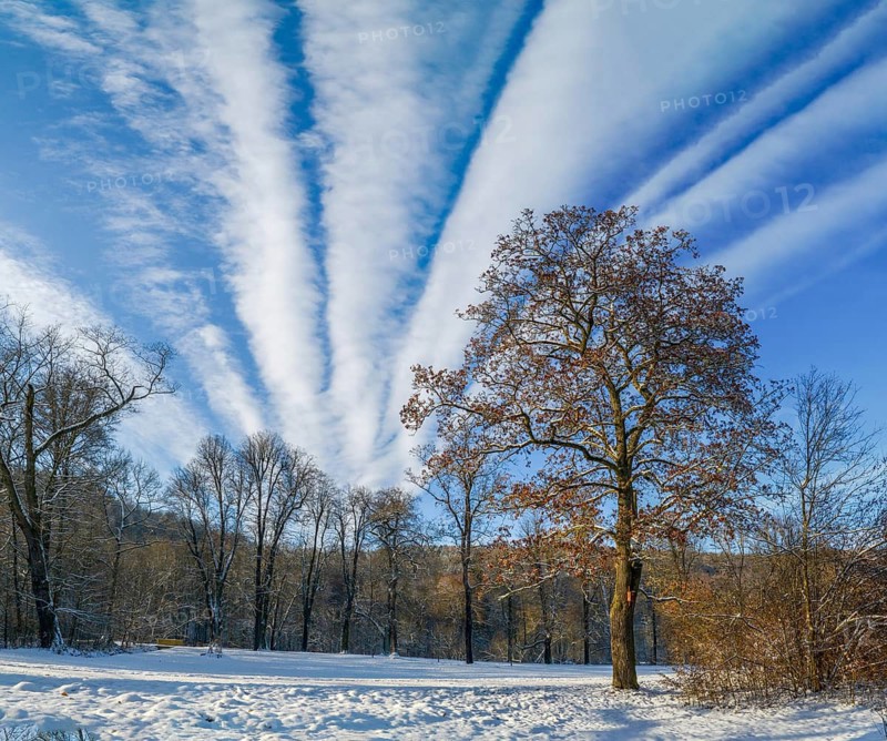 Germany, Greiz, Greizer Park, Thuringia, Thuringia, cultural heritage, landscape, landscape park, Vogtland