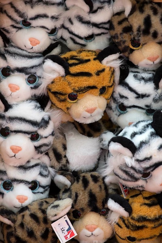 Stacked plush toys, Nuremberg Zoo, Middle Franconia, Bavaria, Germany