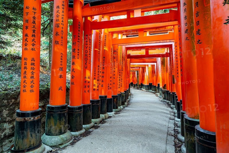Walk through hundreds of red traditional torii gates, Fushimi Inari Taisha, Shinto Shrine, Fushimi Inari-taisha Okusha Hohaisho, Kyoto, Japan