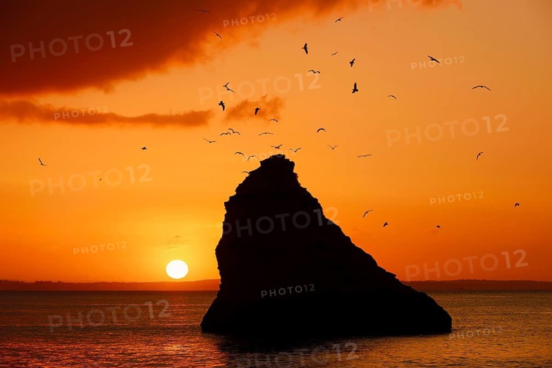 Rocks in the sea and flying seagulls at sunrise, Praia Dona Ana, Lagos, Algarve, Portugal