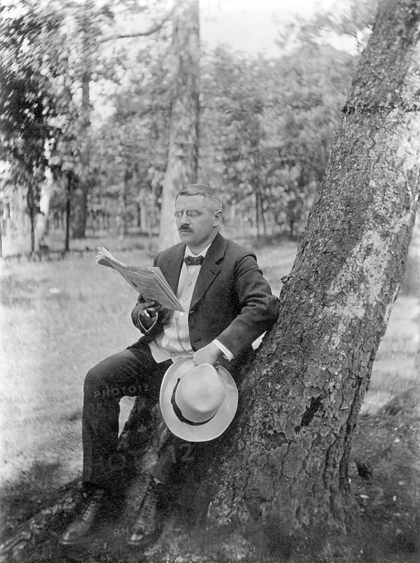 Man sitting on a tree stump next to a birch tree and reading newspaper in the forest, relaxation, peace, Germany, historical, 1930s