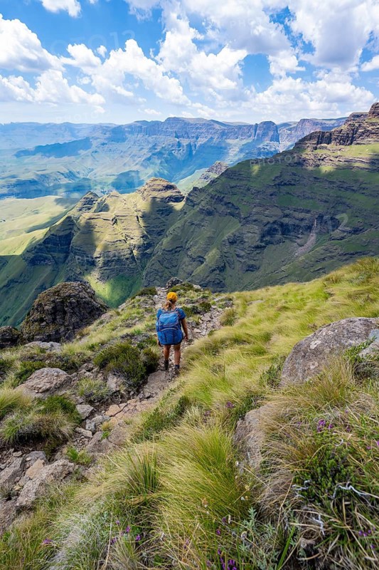 Female mountaineer hiking trail to Cathedral Peak or Cathedralpiek or Mponjwana, Drakensberg, KwaZulu-Natal, South Africa