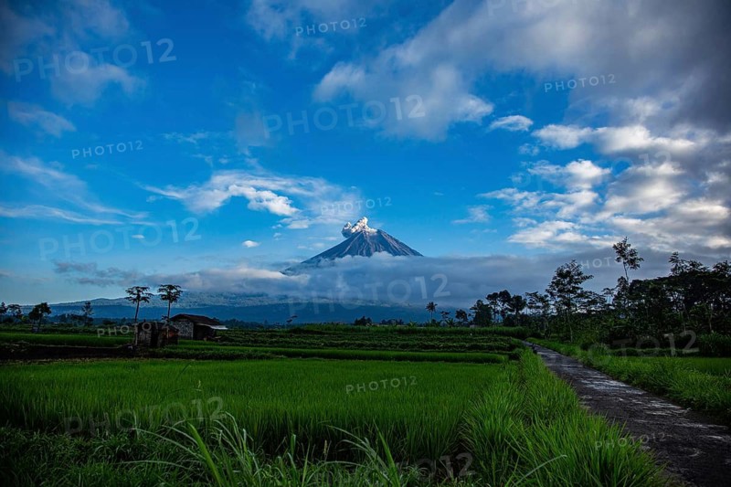 A volcano in the distance above rice paddies, under a blue sky and surrounded by clouds, Smoking volcano, Sumatra, Jakarta, Indonesia