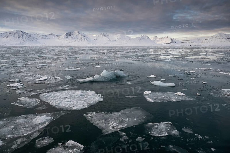 Pieces of ice float in the fjord, Kongsfjord or Kongsfjorden, Spitsbergen archipelago, Svalbard, Norway