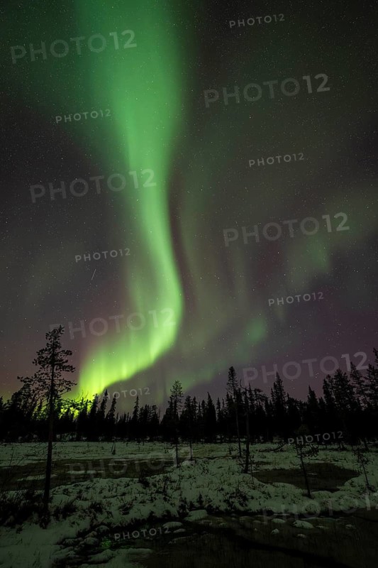 Northern Lights (Aurora borealis), Muddus National Park, Laponia World Heritage Site, Norrbotten, Lapland, Sweden, October 2024