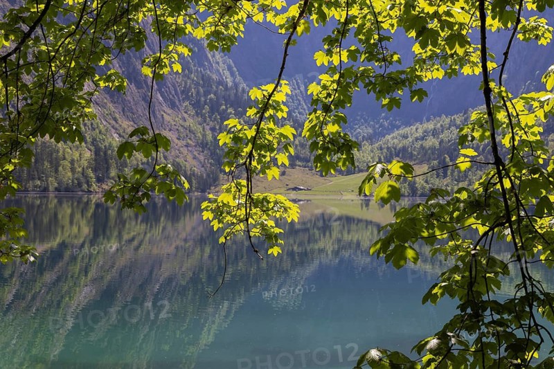 Obersee, Berchtesgaden National Park, Germany